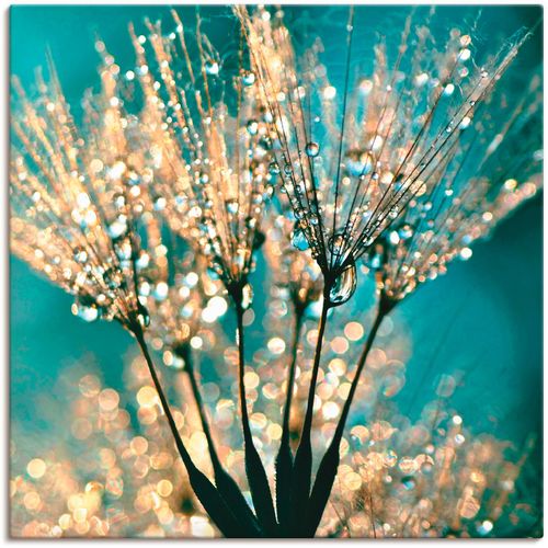 4058661285386 - Wandbild ARTLAND Pusteblume Schirmchen abstrakt Bilder Gr B H 30 cm x 30 cm Leinwandbild Blumen 1 St blau Bild Kunstdruck Kunstdrucke Bilder als Alubild Leinwandbild Wandaufkleber oder Poster in versch Größen