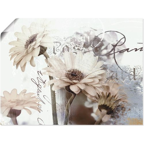 4055327635646 - Wandbild ARTLAND Gerberas_Detail Bilder Gr B H 60 cm x 45 cm Poster Blumenbilder Querformat 1 St weiß Kunstdrucke als Leinwandbild Wandaufkleber oder Poster in versch Größen 4055327635646 - Wandbild ARTLAND Gerberas_Detail Bilder Gr B H 60 cm x 45 cm Poster Blumenbilder Querformat 1 St weiß Kunstdrucke als Leinwandbild Wandaufkleber oder Poster in versch Größen