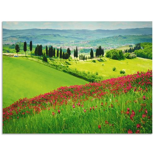 4062144536810 - Wandbild ARTLAND Hügel und Zypressen Bilder Gr B H 40 cm x 30 cm Alu-Dibond-Druck Felder Querformat 1 St grün Bild Poster Bilder als Alubild Leinwandbild Wandaufkleber oder in versch Größen