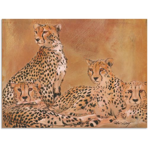 4057738404965 - Wandbild ARTLAND Geparden Bilder Gr B H 40 cm x 30 cm Alu-Dibond-Druck Wildtiere 1 St braun Bild Leinwandbild Kunstdrucke Bilder als Alubild Leinwandbild Wandaufkleber oder Poster in versch Größen 4057738404965 - Wandbild ARTLAND Geparden Bilder Gr B H 40 cm x 30 cm Alu-Dibond-Druck Wildtiere 1 St braun Bild Leinwandbild Kunstdrucke Bilder als Alubild Leinwandbild Wandaufkleber oder Poster in versch Größen