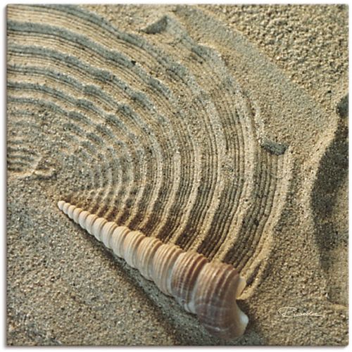 4055327139366 - Wandbild ARTLAND Zen IV - Muschel im Sand Bilder Gr B H 30 cm x 30 cm Leinwandbild Zen 1 St beige (naturfarben) Bild Leinwandbild Kunstdrucke Bilder als Alubild Leinwandbild Wandaufkleber oder Poster in versch Größen