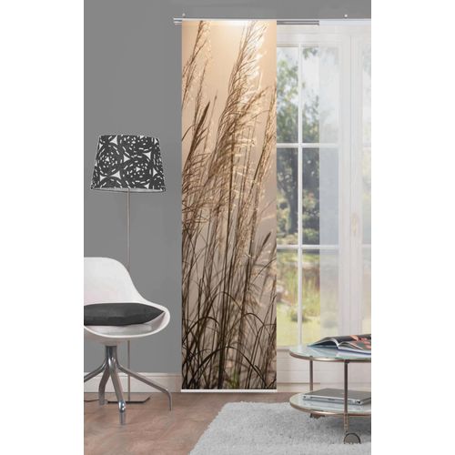 4056751189774 - Schiebegardine HOME WOHNIDEEN CARUSO Gardinen Gr 245 cm Klettband 60 cm beige (naturfarben) Fertiggardine Flächenvorhang Gardine Plissee Schiebegardine Sonnenschutz-Plissee Übergardine Vorhang Schiebegardinen blickdicht HxB 245x60 inkl Befestigungszubehör