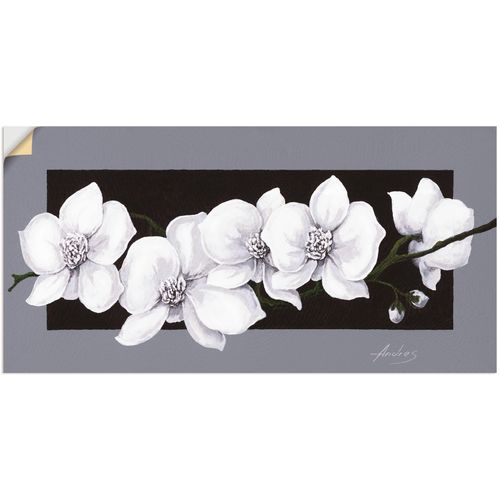 4057738247890 - Wandbild ARTLAND Weiße Orchideen auf grau Bilder Gr B H 100 cm x 50 cm Wandaufkleber - Vinyl Blumen 1 St schwarz Bild Leinwandbild Kunstdrucke Bilder als Alubild Leinwandbild Wandaufkleber oder Poster in versch Größen 4057738247890 - Wandbild ARTLAND Weiße Orchideen auf grau Bilder Gr B H 100 cm x 50 cm Wandaufkleber - Vinyl Blumen 1 St schwarz Bild Leinwandbild Kunstdrucke Bilder als Alubild Leinwandbild Wandaufkleber oder Poster in versch Größen