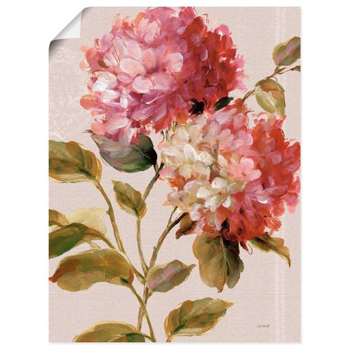 4055327753449 - Wandbild ARTLAND Harmonische Hortensien Bilder Gr B H 30 cm x 40 cm Poster Blumen Hochformat 1 St pink Bild Poster Bilder als Leinwandbild Wandaufkleber oder in versch Größen 4055327753449 - Wandbild ARTLAND Harmonische Hortensien Bilder Gr B H 30 cm x 40 cm Poster Blumen Hochformat 1 St pink Bild Poster Bilder als Leinwandbild Wandaufkleber oder in versch Größen