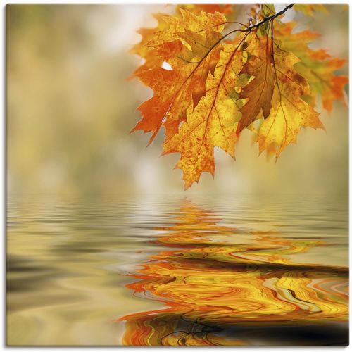 4059745733564 - Wandbild ARTLAND Herbstblatt Bilder Gr B H 50 cm x 50 cm Leinwandbild Blätter 1 St braun Bild Poster Bilder als Alubild Leinwandbild Wandaufkleber oder in versch Größen 4059745733564 - Wandbild ARTLAND Herbstblatt Bilder Gr B H 50 cm x 50 cm Leinwandbild Blätter 1 St braun Bild Poster Bilder als Alubild Leinwandbild Wandaufkleber oder in versch Größen