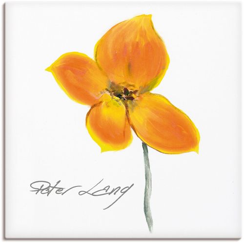 4055327140430 - Wandbild ARTLAND Blume_weiß VI Bilder Gr B H 70 cm x 70 cm Leinwandbild Blumen 1 St gelb Bild Poster Bilder als Alubild Leinwandbild Wandaufkleber oder in versch Größen