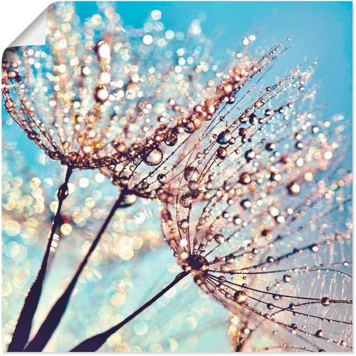 4058661089878 - Wandbild ARTLAND Pusteblume Tröpfchenfänger Bilder Gr B H 30 cm x 30 cm Poster Blumen 1 St blau Bild Kunstdruck Metallbild Metallbilder Bilder als Alubild Leinwandbild Wandaufkleber oder Poster in versch Größen