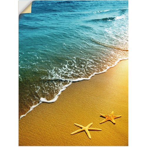 4059745734653 - Wandbild ARTLAND Seesterne Bilder Gr B H 60 cm x 80 cm Wandaufkleber - Vinyl Strand 1 St braun Bild Metallbild Metallbilder Bilder als Alubild Leinwandbild Wandaufkleber oder Poster in versch Größen
