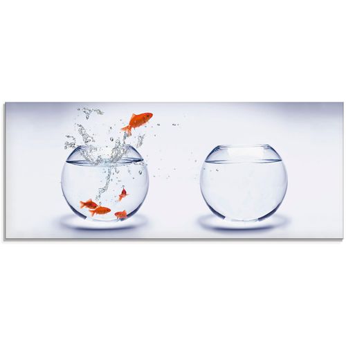4058661603227 - Glasbild ARTLAND Goldfischaquarium Bilder Gr B H 125 cm x 50 cm Glasbild Wassertiere 1 St weiß Glasbilder in verschiedenen Größen