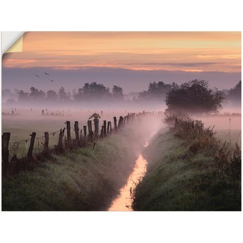 4057738559528 - Wandbild ARTLAND Applaus für den Herbst Bilder Gr B H 40 cm x 30 cm Wandaufkleber - Vinyl Felder 1 St orange Bild Kunstdruck Kunstdrucke Bilder als Leinwandbild Wandaufkleber oder Poster in versch Größen 4057738559528 - Wandbild ARTLAND Applaus für den Herbst Bilder Gr B H 40 cm x 30 cm Wandaufkleber - Vinyl Felder 1 St orange Bild Kunstdruck Kunstdrucke Bilder als Leinwandbild Wandaufkleber oder Poster in versch Größen