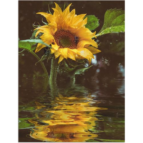 4062144088173 - Wandbild ARTLAND Sonnenblume Bilder Gr B H 30 cm x 40 cm Alu-Dibond-Druck Blumen 1 St gelb Bild Kunstdruck Metallbild Metallbilder Bilder als Alubild Leinwandbild Wandaufkleber oder Poster in versch Größen 4062144088173 - Wandbild ARTLAND Sonnenblume Bilder Gr B H 30 cm x 40 cm Alu-Dibond-Druck Blumen 1 St gelb Bild Kunstdruck Metallbild Metallbilder Bilder als Alubild Leinwandbild Wandaufkleber oder Poster in versch Größen