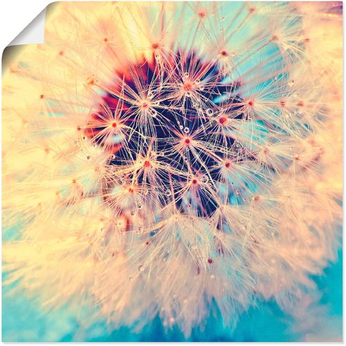 4058661286277 - Wandbild ARTLAND Pusteblume ganz nah Bilder Gr B H 50 cm x 50 cm Poster Blumen 1 St blau Bild Kunstdruck Metallbild Metallbilder Bilder als Alubild Leinwandbild Wandaufkleber oder Poster in versch Größen