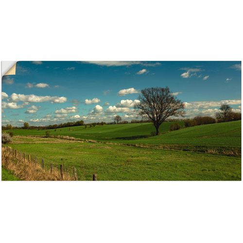 4062144294789 - Wandbild ARTLAND Natur pur Bilder Gr B H 60 cm x 30 cm Wandaufkleber - Vinyl Felder 1 St grün Bild Kunstdruck Leinwandbild Kunstdrucke Bilder als Leinwandbild Wandaufkleber oder Poster in versch Größen 4062144294789 - Wandbild ARTLAND Natur pur Bilder Gr B H 60 cm x 30 cm Wandaufkleber - Vinyl Felder 1 St grün Bild Kunstdruck Leinwandbild Kunstdrucke Bilder als Leinwandbild Wandaufkleber oder Poster in versch Größen