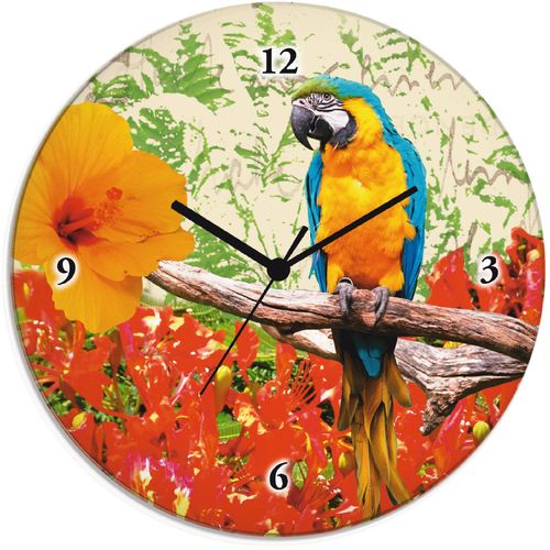 4055327170048 - Wanduhr ARTLAND Papagei Wanduhren Gr T 18 cm Funkuhr bunt Wanduhren wahlweise mit Quarz- oder Funhuhrwerk lautlos ohne Tickgeräusche 4055327170048 - Wanduhr ARTLAND Papagei Wanduhren Gr T 18 cm Funkuhr bunt Wanduhren wahlweise mit Quarz- oder Funhuhrwerk lautlos ohne Tickgeräusche