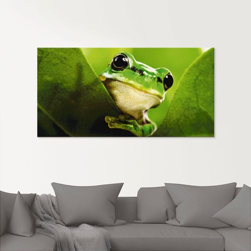 4055327040679 - Glasbild ARTLAND Ausspähender Frosch Bilder Gr B H 60 cm x 30 cm Wassertiere 1 St grün Glasbilder Bilder in verschiedenen Größen 4055327040679 - Glasbild ARTLAND Ausspähender Frosch Bilder Gr B H 60 cm x 30 cm Wassertiere 1 St grün Glasbilder Bilder in verschiedenen Größen