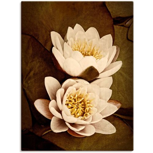 4058661392213 - Wandbild ARTLAND Seerosenblätter Duo Bilder Gr B H 45 cm x 60 cm Leinwandbild Blumen Hochformat 1 St braun Bild Poster Bilder als Alubild Leinwandbild Wandaufkleber oder in versch Größen 4058661392213 - Wandbild ARTLAND Seerosenblätter Duo Bilder Gr B H 45 cm x 60 cm Leinwandbild Blumen Hochformat 1 St braun Bild Poster Bilder als Alubild Leinwandbild Wandaufkleber oder in versch Größen