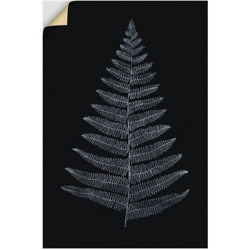 4062144771495 - Wandbild ARTLAND Botanica Minimalistica Bilder Gr B H 20 cm x 30 cm Wandaufkleber - Vinyl Blätterbilder Hochformat 1 St schwarz Kunstdrucke als Alubild Leinwandbild Wandaufkleber oder Poster in versch Größen 4062144771495 - Wandbild ARTLAND Botanica Minimalistica Bilder Gr B H 20 cm x 30 cm Wandaufkleber - Vinyl Blätterbilder Hochformat 1 St schwarz Kunstdrucke als Alubild Leinwandbild Wandaufkleber oder Poster in versch Größen