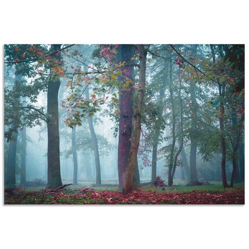 4062144666401 - Wandbild ARTLAND Nebel im Wald Bilder Gr B H 30 cm x 20 cm Alu-Dibond-Druck Waldbilder Querformat 1 St blau Kunstdrucke als Alubild Leinwandbild Wandaufkleber oder Poster in versch Größen