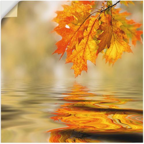 4059745733595 - Wandbild ARTLAND Herbstblatt Bilder Gr B H 30 cm x 30 cm Wandaufkleber - Vinyl Blätter 1 St braun Bild Poster Bilder als Alubild Leinwandbild Wandaufkleber oder in versch Größen
