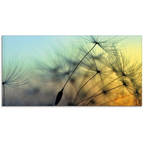 4062144101872 - Glasbild ARTLAND Goldener Sonnenuntergang und Pusteblumen Bilder Gr B H 60 cm x 30 cm Blumen 1 St gelb Glasbilder Bilder in verschiedenen Größen