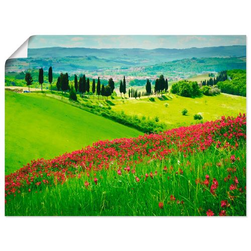 4062144537084 - Wandbild ARTLAND Hügel und Zypressen Bilder Gr B H 80 cm x 60 cm Poster Felder Querformat 1 St grün Bild Poster Bilder als Alubild Leinwandbild Wandaufkleber oder in versch Größen 4062144537084 - Wandbild ARTLAND Hügel und Zypressen Bilder Gr B H 80 cm x 60 cm Poster Felder Querformat 1 St grün Bild Poster Bilder als Alubild Leinwandbild Wandaufkleber oder in versch Größen
