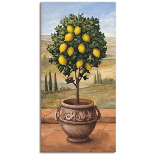 4055327160421 - Wandbild ARTLAND Zitronenbaum Bilder Gr B H 30 cm x 60 cm Leinwandbild Bäume 1 St beige (naturfarben) Bild Metallbild Metallbilder Bilder als Alubild Leinwandbild Wandaufkleber oder Poster in versch Größen
