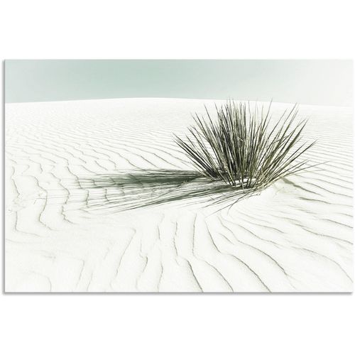 4062144650196 - Wandbild ARTLAND Dünen weißer Sand Vintage Bilder Gr B H 60 cm x 40 cm Alu-Dibond-Druck Strandbilder Querformat 1 St weiß Kunstdrucke als Alubild Leinwandbild Wandaufkleber oder Poster in versch Größen