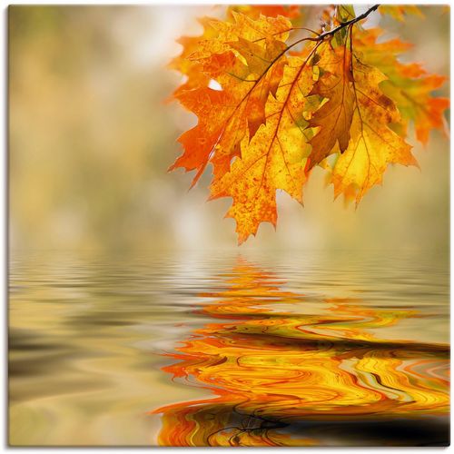 4059745733571 - Wandbild ARTLAND Herbstblatt Bilder Gr B H 40 cm x 40 cm Leinwandbild Blätter 1 St braun Bild Poster Bilder als Alubild Leinwandbild Wandaufkleber oder in versch Größen 4059745733571 - Wandbild ARTLAND Herbstblatt Bilder Gr B H 40 cm x 40 cm Leinwandbild Blätter 1 St braun Bild Poster Bilder als Alubild Leinwandbild Wandaufkleber oder in versch Größen