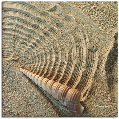 4055327248648 - Wandbild ARTLAND Zen IV - Muschel im Sand Bilder Gr B H 40 cm x 40 cm Leinwandbild Zen 1 St beige (naturfarben) Bild Leinwandbild Kunstdrucke Bilder als Alubild Leinwandbild Wandaufkleber oder Poster in versch Größen 4055327248648 - Wandbild ARTLAND Zen IV - Muschel im Sand Bilder Gr B H 40 cm x 40 cm Leinwandbild Zen 1 St beige (naturfarben) Bild Leinwandbild Kunstdrucke Bilder als Alubild Leinwandbild Wandaufkleber oder Poster in versch Größen