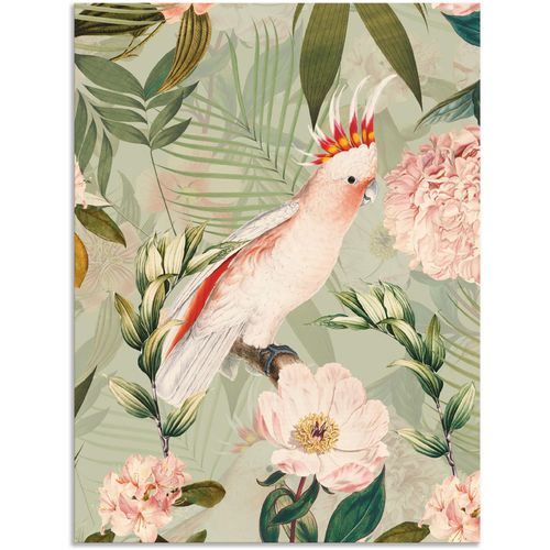 4062144648292 - Wandbild ARTLAND Vintage Papagei Bilder Gr B H 30 cm x 40 cm Alu-Dibond-Druck Vogelbilder Hochformat 1 St grün Kunstdrucke als Alubild Leinwandbild Wandaufkleber oder Poster in versch Größen 4062144648292 - Wandbild ARTLAND Vintage Papagei Bilder Gr B H 30 cm x 40 cm Alu-Dibond-Druck Vogelbilder Hochformat 1 St grün Kunstdrucke als Alubild Leinwandbild Wandaufkleber oder Poster in versch Größen