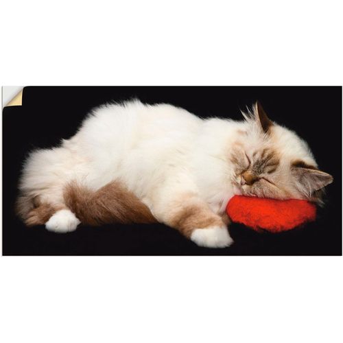 4057738513438 - Wandbild ARTLAND Müde Katze Bilder Gr B H 60 cm x 30 cm Wandaufkleber - Vinyl Haustiere 1 St schwarz Bild Kunstdruck Leinwandbild Kunstdrucke Bilder als Alubild Leinwandbild Wandaufkleber oder Poster in versch Größen