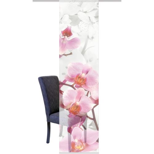 4011714645810 - Schiebegardine HOME WOHNIDEEN HANAMI Gardinen beige (naturfarben) nach Räumen Gardine HxB 245x60 inkl Befestigungszubehör 4011714645810 - Schiebegardine HOME WOHNIDEEN HANAMI Gardinen beige (naturfarben) nach Räumen Gardine HxB 245x60 inkl Befestigungszubehör