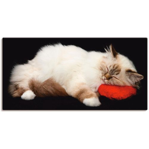 4055327321464 - Wandbild ARTLAND Müde Katze Bilder Gr B H 60 cm x 30 cm Leinwandbild Haustiere 1 St schwarz Bild Kunstdruck Leinwandbild Kunstdrucke Bilder als Alubild Leinwandbild Wandaufkleber oder Poster in versch Größen 4055327321464 - Wandbild ARTLAND Müde Katze Bilder Gr B H 60 cm x 30 cm Leinwandbild Haustiere 1 St schwarz Bild Kunstdruck Leinwandbild Kunstdrucke Bilder als Alubild Leinwandbild Wandaufkleber oder Poster in versch Größen