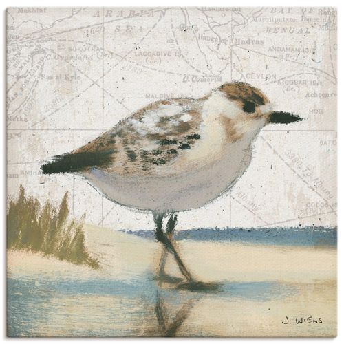 4055327741507 - Wandbild ARTLAND Möwe I Bilder Gr B H 50 cm x 50 cm Leinwandbild Vögel quadratisch 1 St braun Bild Poster Bilder als Leinwandbild Wandaufkleber oder in versch Größen