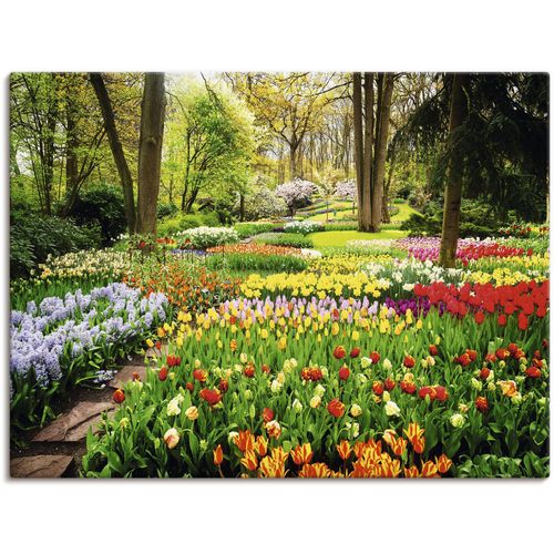 4062144594704 - Wandbild ARTLAND Tulpen Garten Frühling Bilder Gr B H 120 cm x 90 cm Leinwandbild Blumenwiese Querformat 1 St bunt Kunstdrucke als Alubild Leinwandbild Wandaufkleber oder Poster in versch Größen 4062144594704 - Wandbild ARTLAND Tulpen Garten Frühling Bilder Gr B H 120 cm x 90 cm Leinwandbild Blumenwiese Querformat 1 St bunt Kunstdrucke als Alubild Leinwandbild Wandaufkleber oder Poster in versch Größen