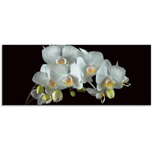 4055327193412 - Glasbild ARTLAND Weiße Orchidee auf schwarzem Hintergrund Bilder Gr B H 125 cm x 50 cm Glasbild Blumen 1 St weiß Glasbilder in verschiedenen Größen 4055327193412 - Glasbild ARTLAND Weiße Orchidee auf schwarzem Hintergrund Bilder Gr B H 125 cm x 50 cm Glasbild Blumen 1 St weiß Glasbilder in verschiedenen Größen
