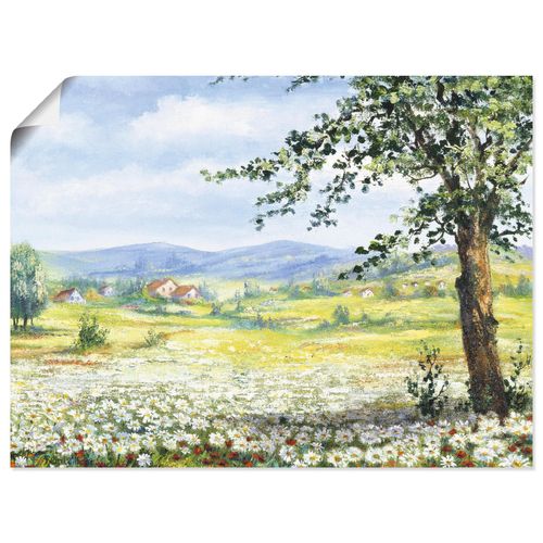 4055327604659 - Wandbild ARTLAND Margeritenfeld Bilder Gr B H 40 cm x 30 cm Poster Wiesen & Bäume Querformat 1 St grün Bild Leinwandbild Kunstdrucke Bilder als Leinwandbild Wandaufkleber oder Poster in versch Größen 4055327604659 - Wandbild ARTLAND Margeritenfeld Bilder Gr B H 40 cm x 30 cm Poster Wiesen & Bäume Querformat 1 St grün Bild Leinwandbild Kunstdrucke Bilder als Leinwandbild Wandaufkleber oder Poster in versch Größen