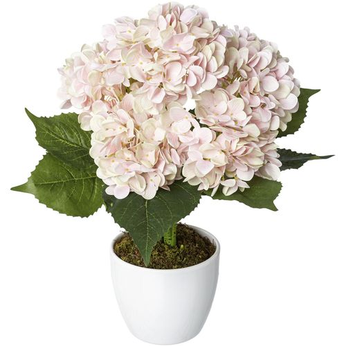 4064118078203 - Kunstpflanze CREATIV GREEN Hortensie Kunstpflanzen Gr H 50 cm 1 St rosa Kunstpflanze Künstliche Zimmerpflanzen Kunstpflanzen im Keramiktopf