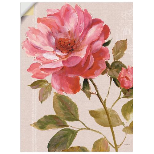 4062144447772 - Wandbild ARTLAND Harmonische Rosen Bilder Gr B H 30 cm x 40 cm Wandaufkleber - Vinyl Blumen Hochformat 1 St pink Bild Leinwandbild Kunstdrucke Bilder als Leinwandbild Wandaufkleber oder Poster in versch Größen