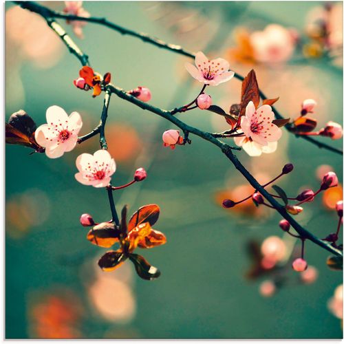 4062144100486 - Glasbild ARTLAND Japanische Kirsch Sakura Blumen Bilder Gr B H 40 cm x 40 cm Blumen 1 St blau Glasbilder Bilder in verschiedenen Größen