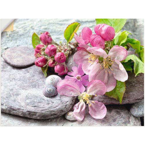 4057738843443 - Wandbild ARTLAND Apfelblüten Bilder Gr B H 120 cm x 90 cm Wandaufkleber - Vinyl Blumen Querformat 1 St pink Bild Metallbild Metallbilder Bilder als Alubild Leinwandbild Wandaufkleber oder Poster in versch Größen 4057738843443 - Wandbild ARTLAND Apfelblüten Bilder Gr B H 120 cm x 90 cm Wandaufkleber - Vinyl Blumen Querformat 1 St pink Bild Metallbild Metallbilder Bilder als Alubild Leinwandbild Wandaufkleber oder Poster in versch Größen