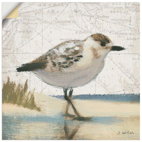 4062144443385 - Wandbild ARTLAND Möwe I Bilder Gr B H 30 cm x 30 cm Wandaufkleber - Vinyl Vögel quadratisch 1 St braun Bild Poster Bilder als Leinwandbild Wandaufkleber oder in versch Größen 4062144443385 - Wandbild ARTLAND Möwe I Bilder Gr B H 30 cm x 30 cm Wandaufkleber - Vinyl Vögel quadratisch 1 St braun Bild Poster Bilder als Leinwandbild Wandaufkleber oder in versch Größen