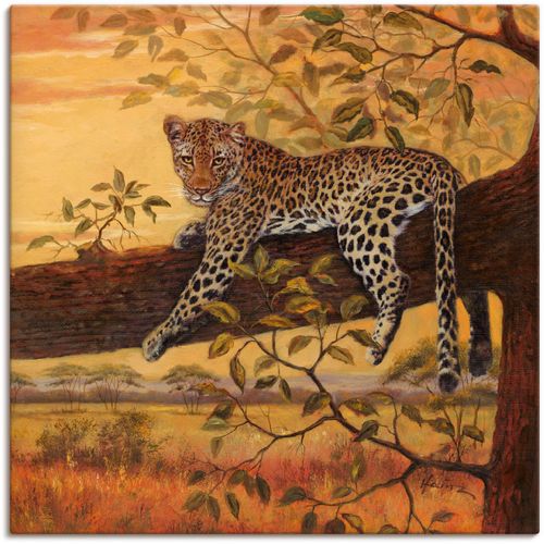 4055327145718 - Wandbild ARTLAND Ruhender Leopard Bilder Gr B H 50 cm x 50 cm Leinwandbild Wildtiere 1 St orange Bild Leinwandbild Kunstdrucke Bilder als Alubild Leinwandbild Wandaufkleber oder Poster in versch Größen