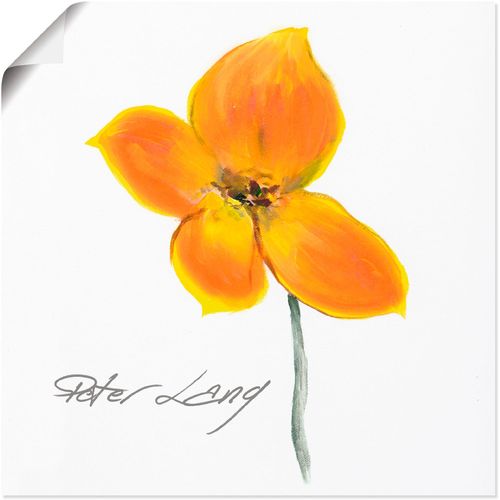 4055327278102 - Wandbild ARTLAND Blume_weiß VI Bilder Gr B H 30 cm x 30 cm Poster Blumen 1 St gelb Bild Poster Bilder als Alubild Leinwandbild Wandaufkleber oder in versch Größen 4055327278102 - Wandbild ARTLAND Blume_weiß VI Bilder Gr B H 30 cm x 30 cm Poster Blumen 1 St gelb Bild Poster Bilder als Alubild Leinwandbild Wandaufkleber oder in versch Größen