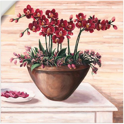 4057738187646 - Wandbild ARTLAND Orchideen in Bordeaux Bilder Gr B H 30 cm x 30 cm Wandaufkleber - Vinyl Blumen 1 St beige (naturfarben) Bild Poster Bilder als Alubild Leinwandbild Wandaufkleber oder in versch Größen