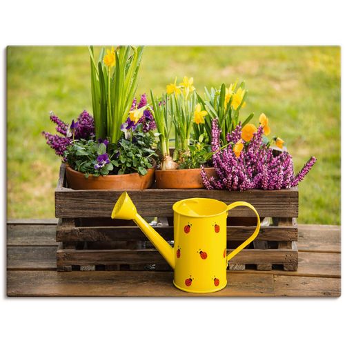 4059745777902 - Wandbild ARTLAND Holzkiste Heidekraut Narzissen Gießkanne Bilder Gr B H 120 cm x 90 cm Leinwandbild Vasen & Töpfe 1 St bunt Bild Poster Bilder als Alubild Leinwandbild Wandaufkleber oder in versch Größen