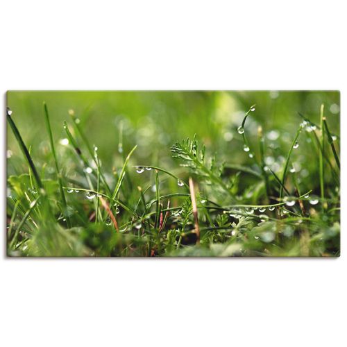 4058661222879 - Wandbild ARTLAND Tautropfen Bilder Gr B H 60 cm x 30 cm Leinwandbild Gräser Querformat 1 St grün Bild Poster Bilder als Alubild Leinwandbild Wandaufkleber oder in versch Größen