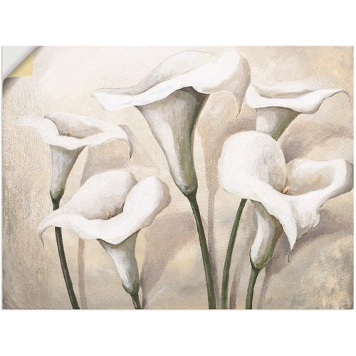 4057738223054 - Wandbild ARTLAND Callas I Bilder Gr B H 120 cm x 90 cm Wandaufkleber - Vinyl Blumen 1 St beige (naturfarben) Bild Leinwandbild Kunstdrucke Bilder als Alubild Leinwandbild Wandaufkleber oder Poster in versch Größen 4057738223054 - Wandbild ARTLAND Callas I Bilder Gr B H 120 cm x 90 cm Wandaufkleber - Vinyl Blumen 1 St beige (naturfarben) Bild Leinwandbild Kunstdrucke Bilder als Alubild Leinwandbild Wandaufkleber oder Poster in versch Größen