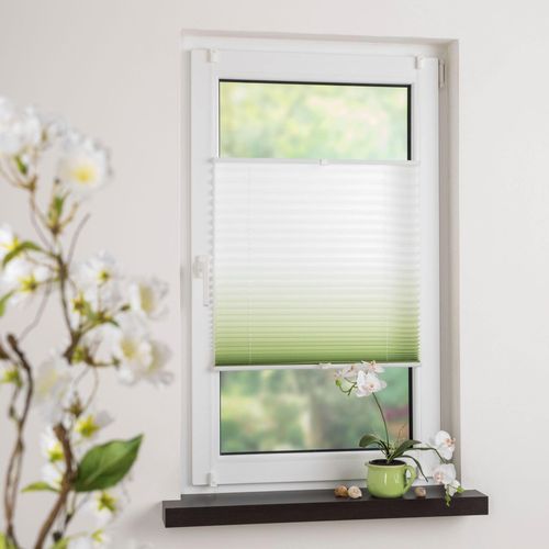 0093149069441 - Plissee GARESA Farbverlauf Gr 6 grün (grün weiß weiß) B60cm H130cm Obermaterial 100% Polyester Plissees einfache Montage blickdicht dekorativ