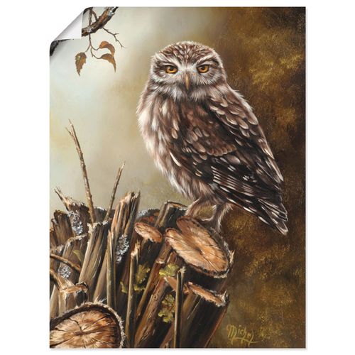 4055327495196 - Wandbild ARTLAND Eule Bilder Gr B H 30 cm x 40 cm Poster Vögel Hochformat 1 St braun Bild Poster Bilder als Leinwandbild Wandaufkleber oder in versch Größen